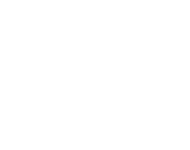 Firemon logo - White no background